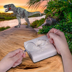 WowWorld: Dino Dig - Tyrannosaurus Rex - All-In-One Dinosaur Skeleton Excavation Kit, Tools & Construction Figurine, Educational Science Toy, Kids 6+