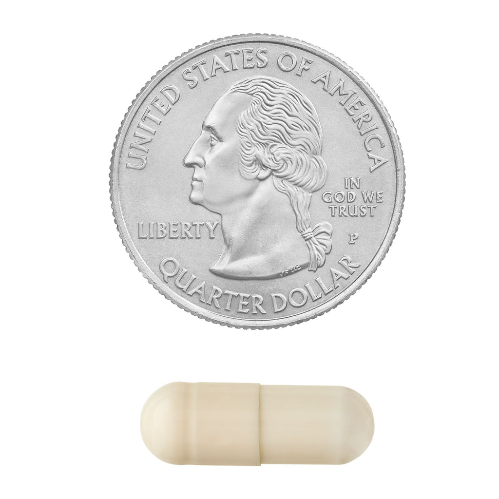 Spring Valley Daily Probiotic Delayed Release Capsules for Digestive Health, 4 Billion Live Cells, 60 Count
