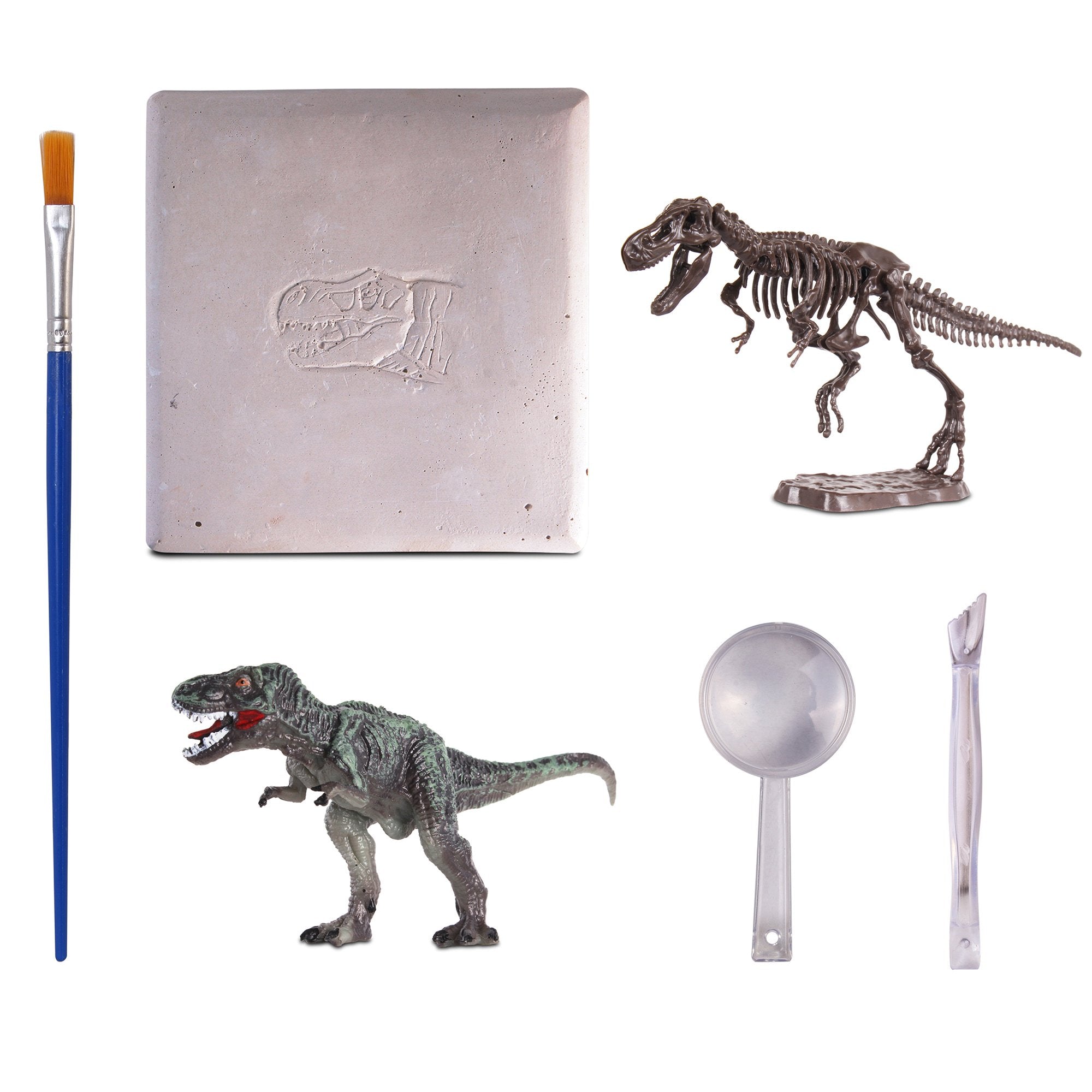 WowWorld: Dino Dig - Tyrannosaurus Rex - All-In-One Dinosaur Skeleton Excavation Kit, Tools & Construction Figurine, Educational Science Toy, Kids 6+