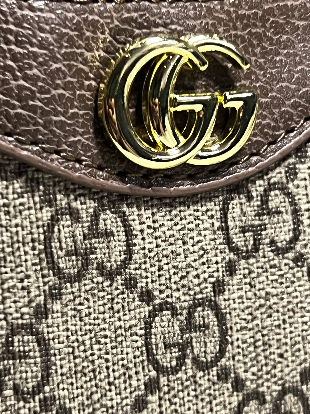 Elegant Brown GGG Handbag